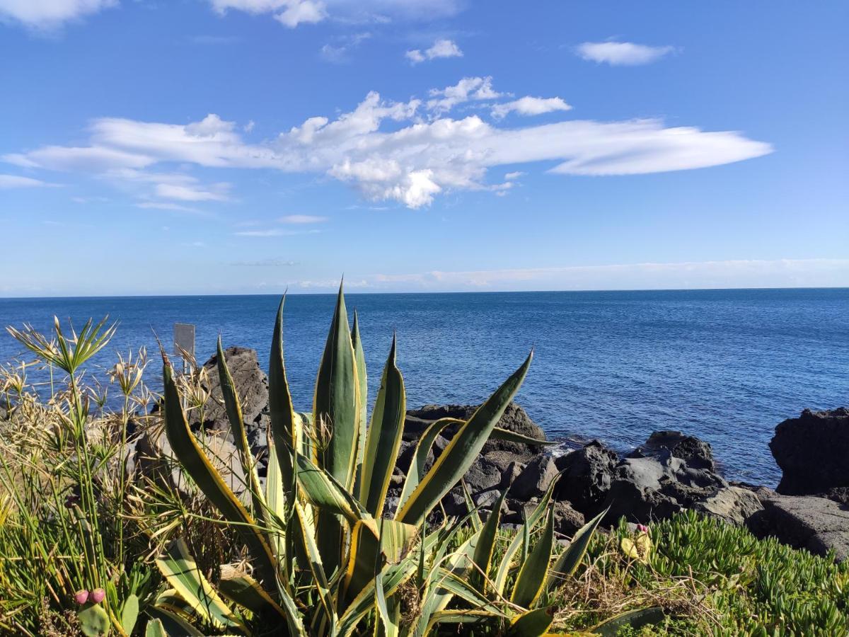 Villa Delle Palme Aci Trezza Bagian luar foto